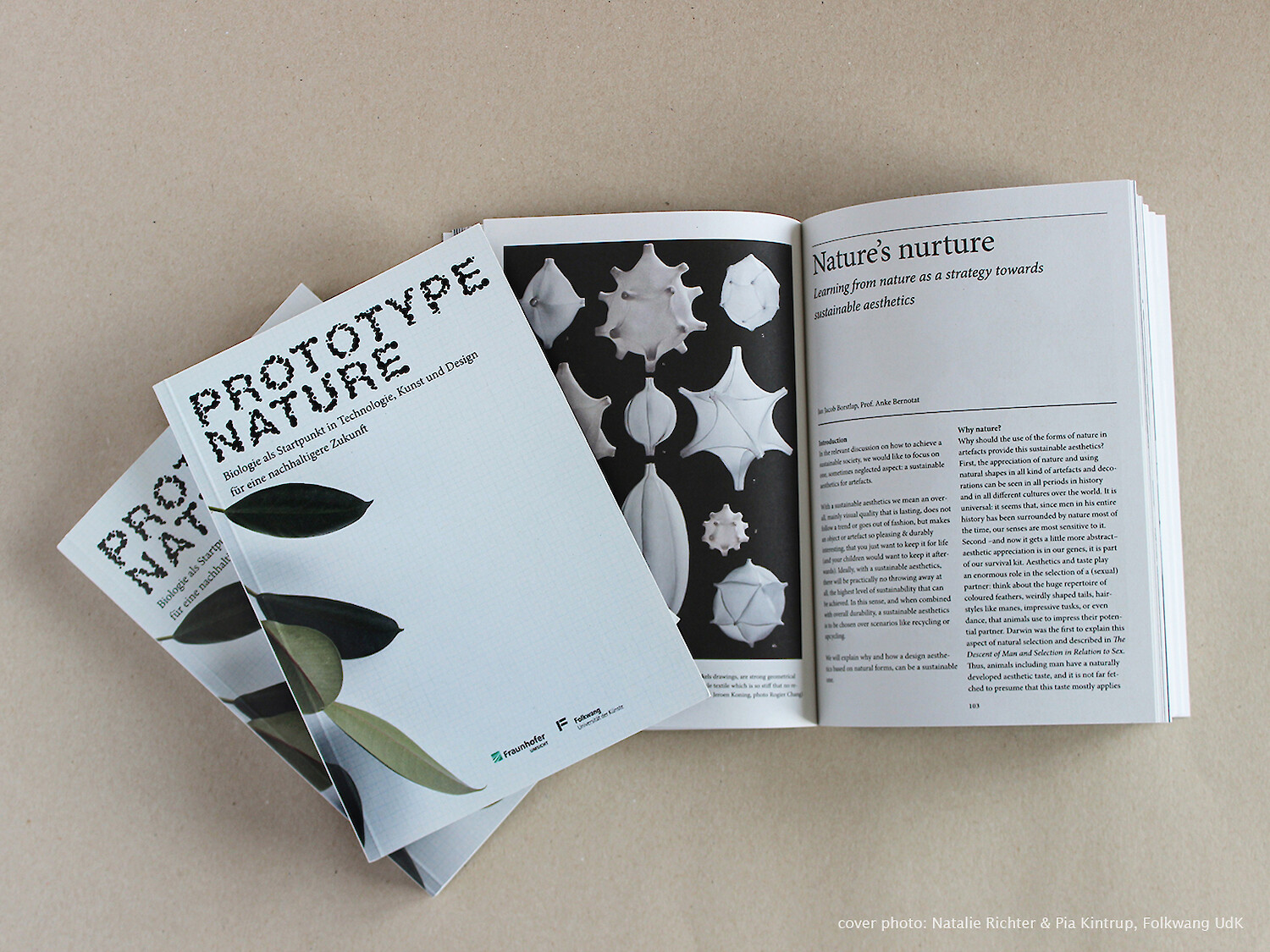 Bildname: folkwang-industrial-design-buch_prototype_nature-2-1