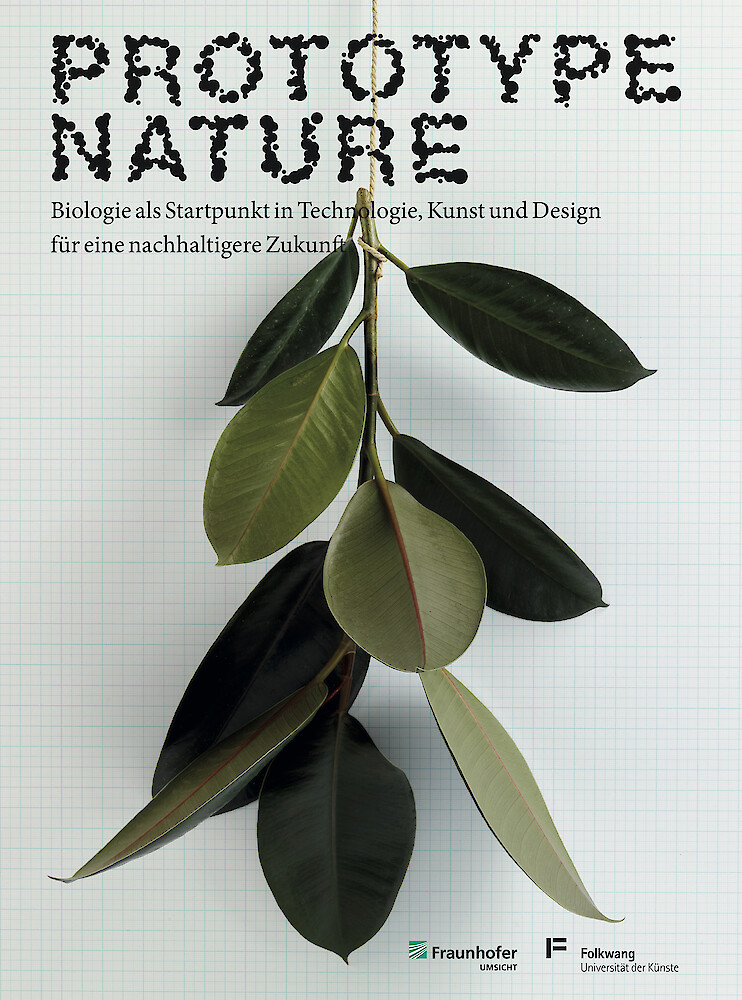Prototype Nature