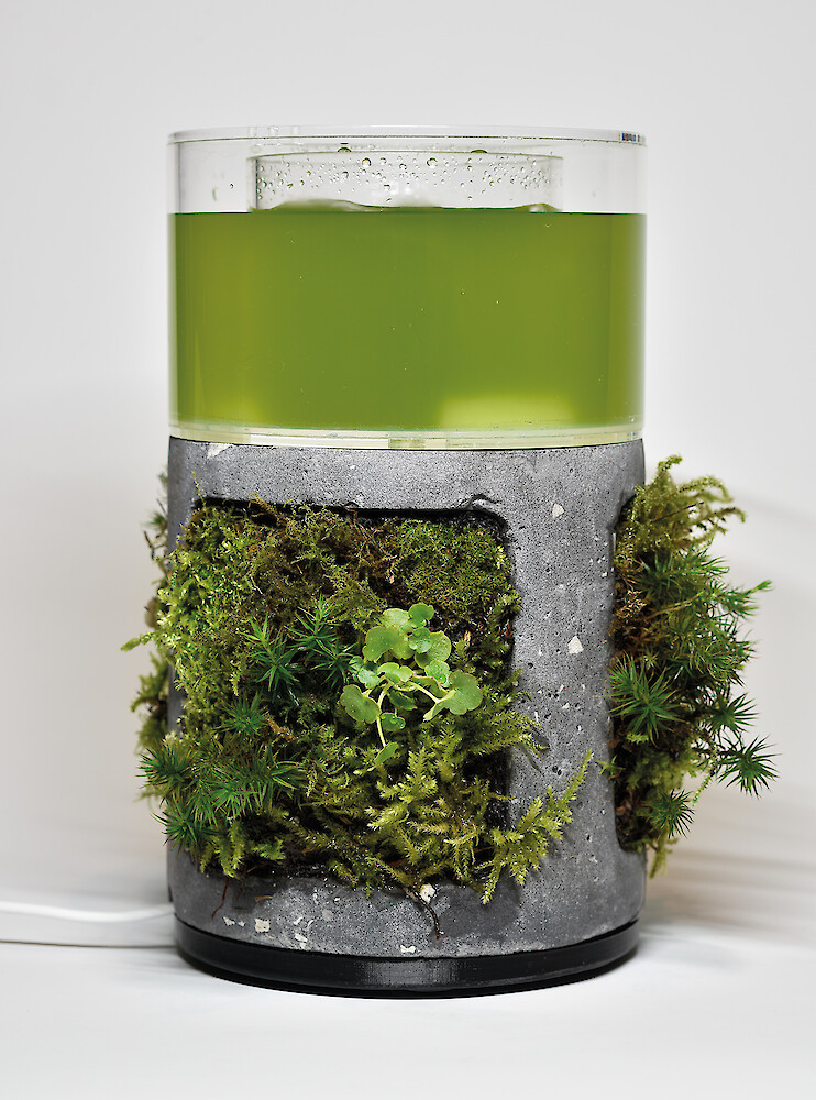 AMbio|Luftreinigung durch Algen und Moos