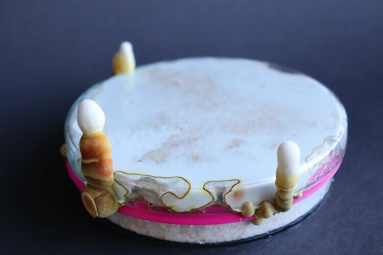 Bildname: folkwang-industrial-design-myco