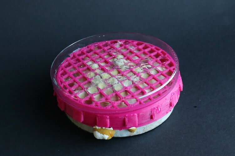 Bildname: folkwang-industrial-design-myco