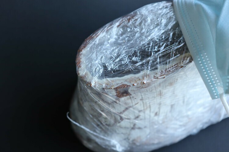 Bildname: folkwang-industrial-design-myco