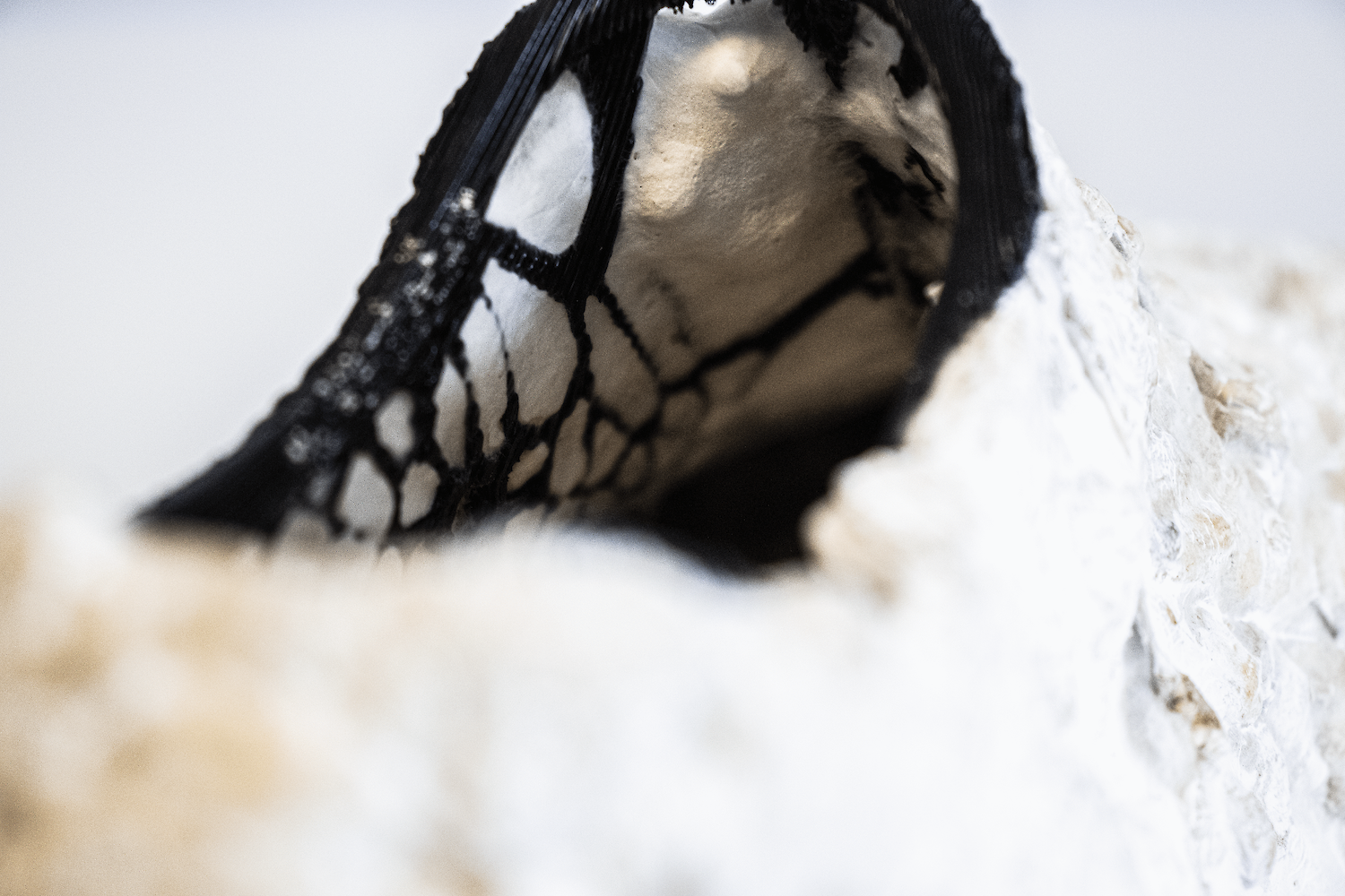 Bildname: folkwang-industrial-design-myco