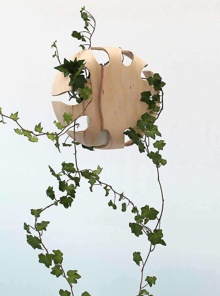 Teaserbild von Projekt S(ch)ichtbar|Formholztechnik mit Konstruktions- und Wuchsmerkmalen