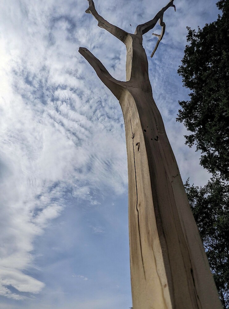 Squared Tree / Balkenbaum