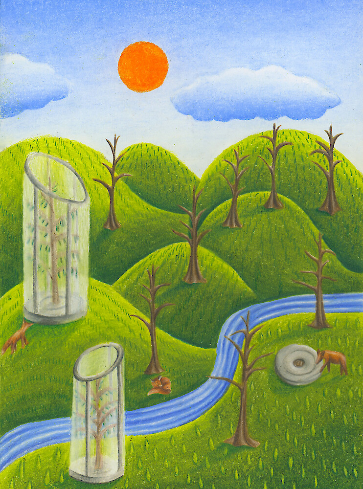 The Spruce Forest and The Bark Beetles|A tale about saving the European woodlands The Spruce Forest and The Bark Beetles|A tale about saving the European woodlands